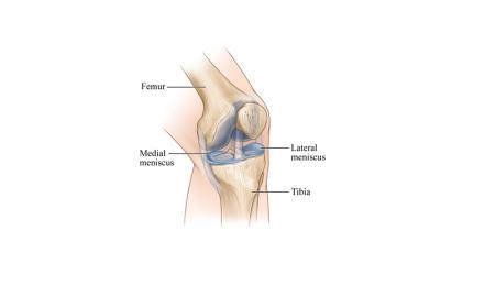 Understanding Injuries of the Knee-Joint