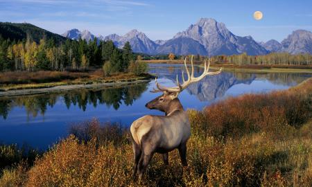 6 Adventurous Wildlife Safaris in North India