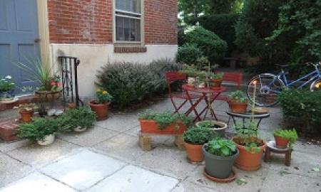 Plantscapes USA Creates Subtle and Sublime Interior Landscapes in Residences and Workspaces