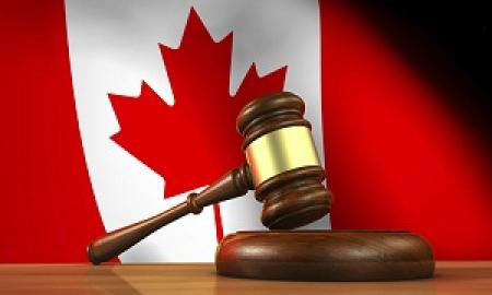 What Do You Get From Online Criminal record Check Services