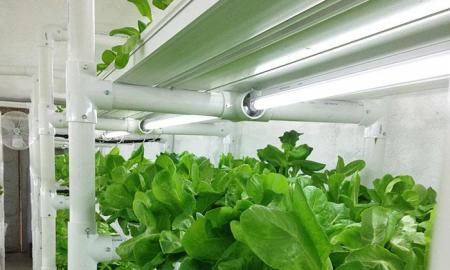Five Ways To Use Your Container Farm