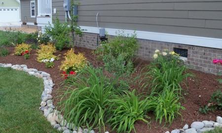 Best Reasons to Hire a Professional Landscaping Company Instead of DIY! 