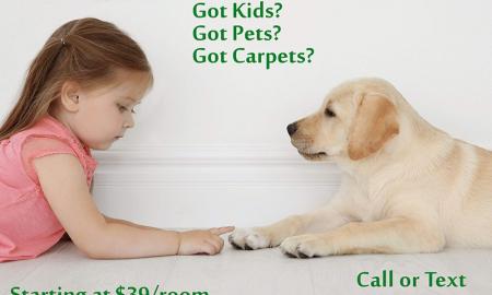 Breathe New Life In Your Carpets And Increase Its Value!
