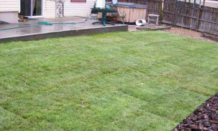 6 Landscape Trends That Will Make Your House Look Like a Luxurious One