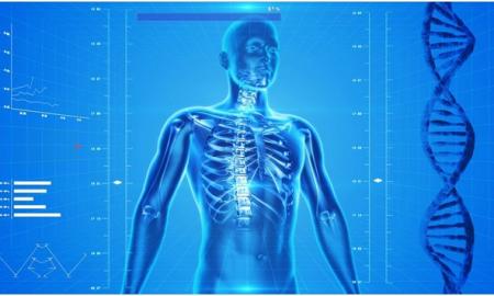 Chiropractic Care: The Path to Maintaining Healthy Lifestyles