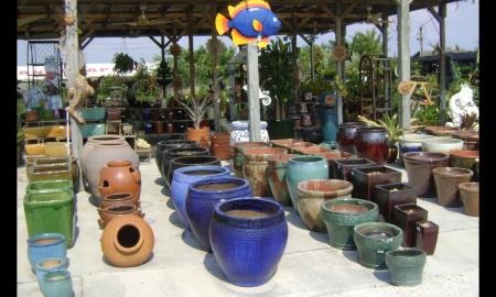 3 Benefits You Get From the Indoor Plants