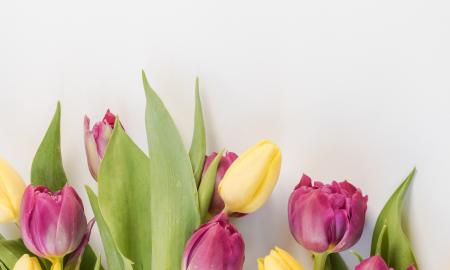 4 Different Flowers For All The Important Women In Your Life