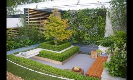 Tips and Tricks for The Best Outlook of Your Lawn