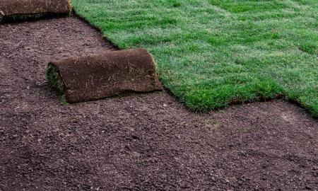 10 Reasons Why You Need To Try to find Sod Near Me