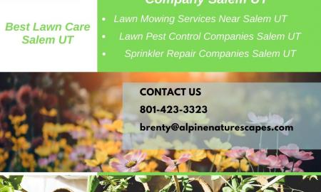 Five Reasons Why You Should Have Regular Maintenance Of Your Lawn