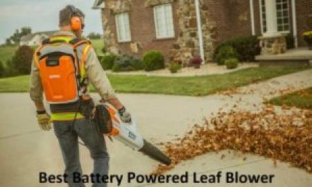Leaf Blower and Vacuum - A Very First Time Purchasers Guide