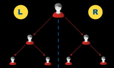 Binary MLM Plan: How Does It Profit in Business?