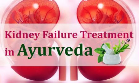 Guide to Kidney Failure and Ayurvedic Methods for the Treatment