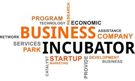 Give Shape to your Idea via a Business Incubator