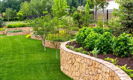 How to make the Backyard Aesthetically Pleasing on a Budget?
